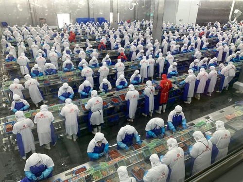 價格大跳水，潛江龍蝦如何應對市場波動——記者一線調研產業鏈各環節的“穩定器”